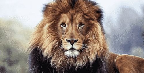 Horoscope lion 2022